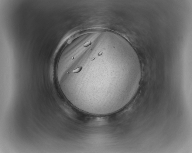 X0000111130056200907141219