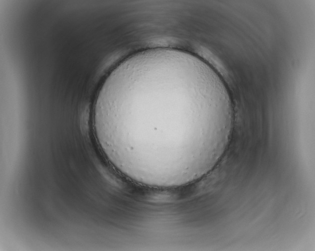 X0000111130058200907141219