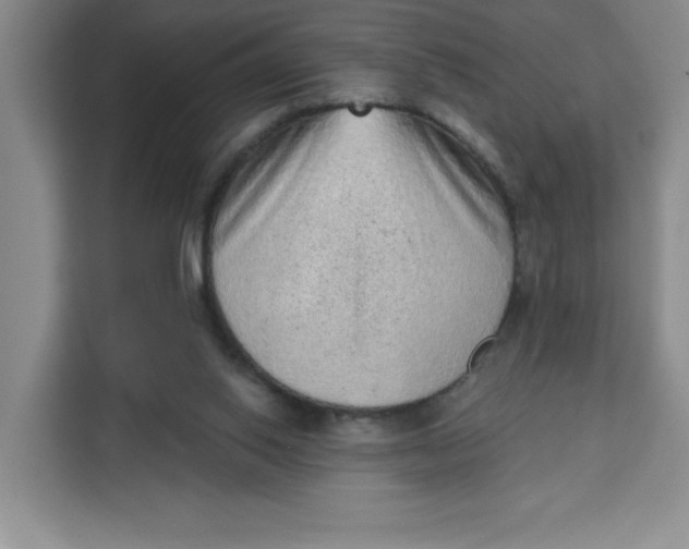 X0000111130062200907141219