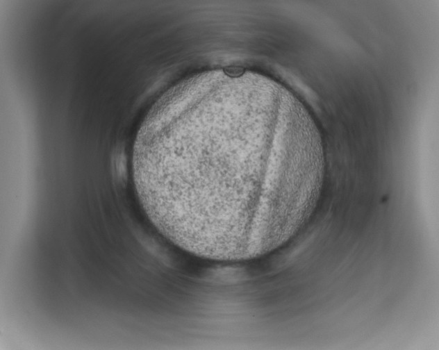 X0000111130067200907141219