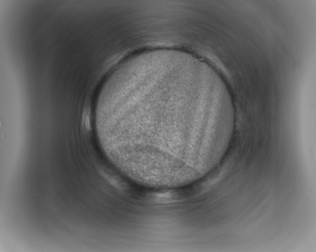 X0000111130068200907141219
