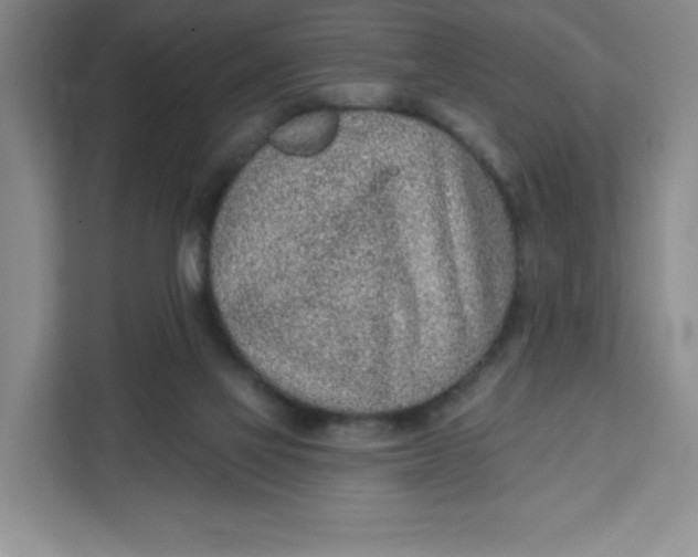 X0000111130069200907141219