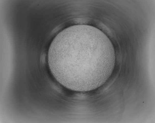 X0000111130071200907141219