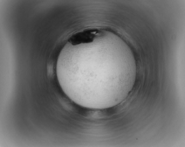 X0000111130074200907141219