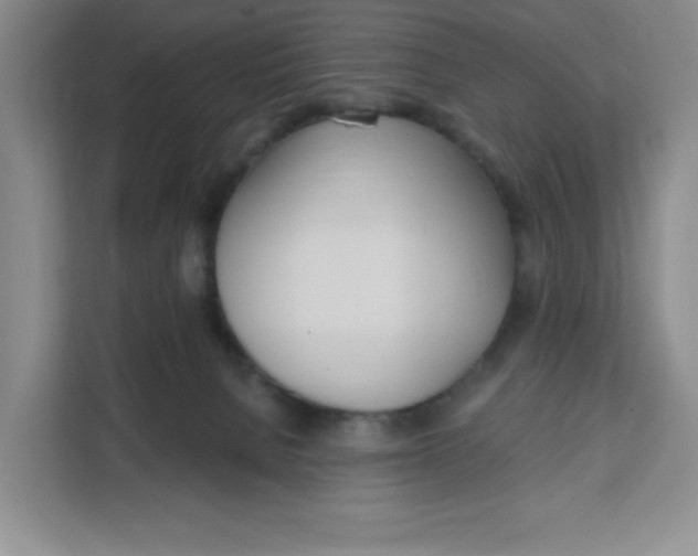 X0000111130080200907141219