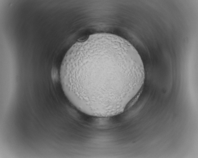 X0000111130089200907141219