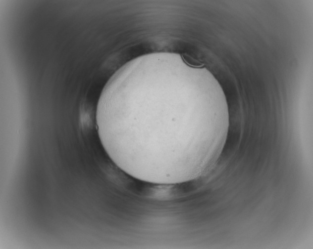X0000111130090200907141219