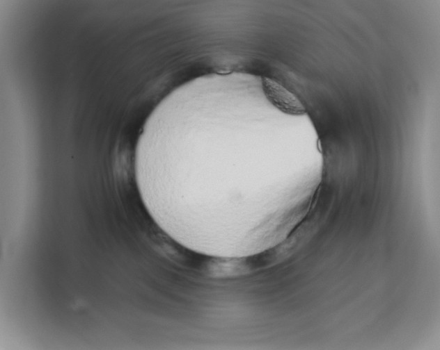 X0000111130093200907141219