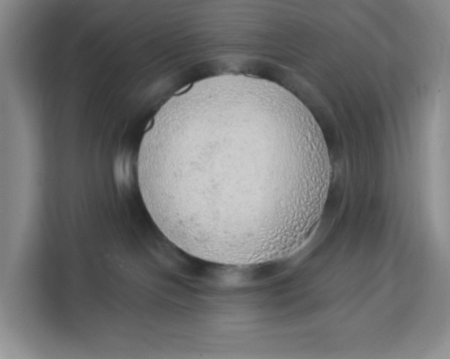 X0000111130094200907141219