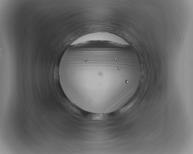 X0000111130096200907141219