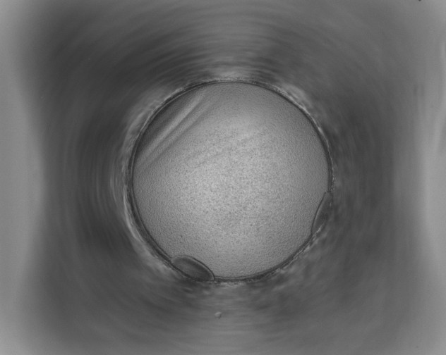 X0000111130097200907141219