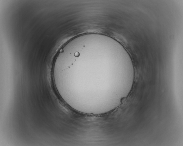 X0000111130098200907141219