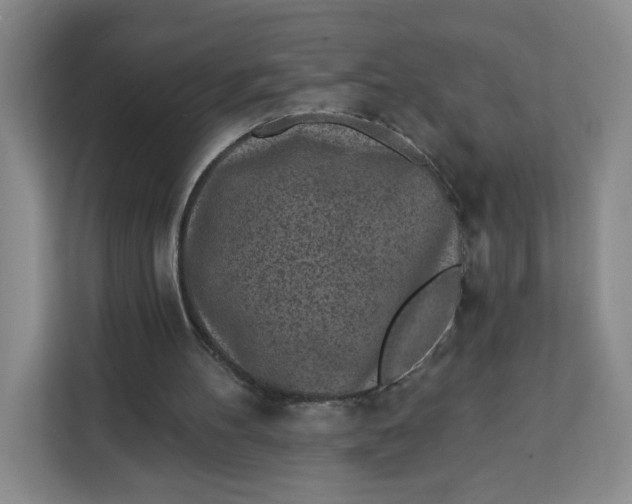 X0000111130100200907141219