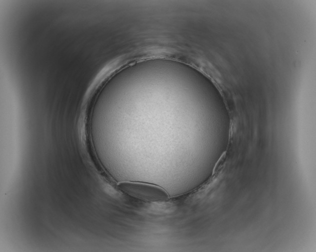 X0000111130101200907141219