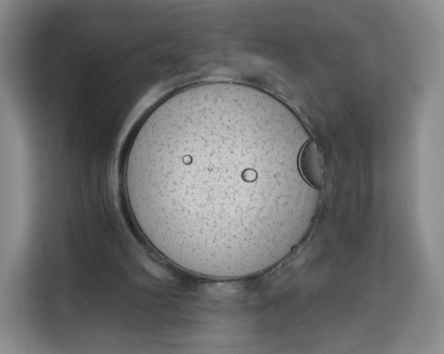 X0000111130102200907141219