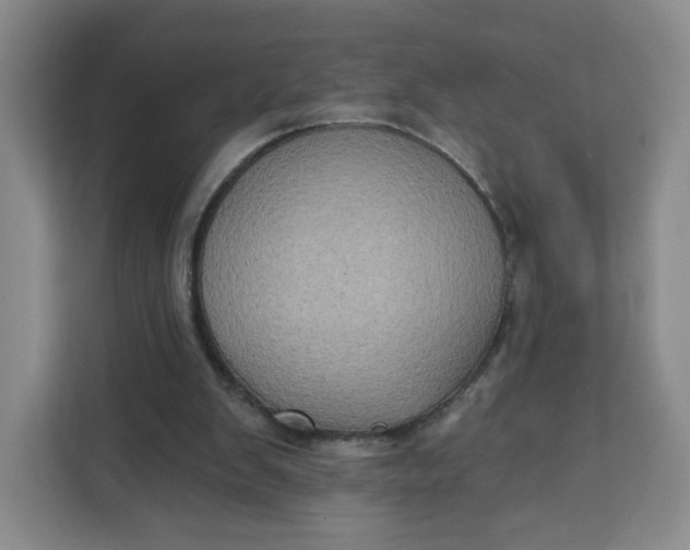X0000111130103200907141219
