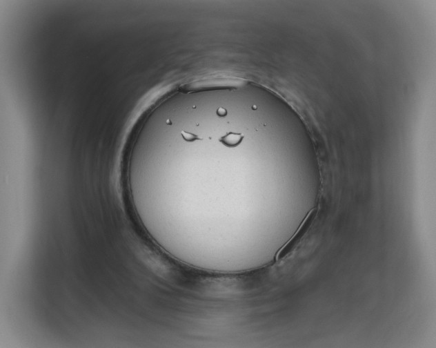 X0000111130104200907141219