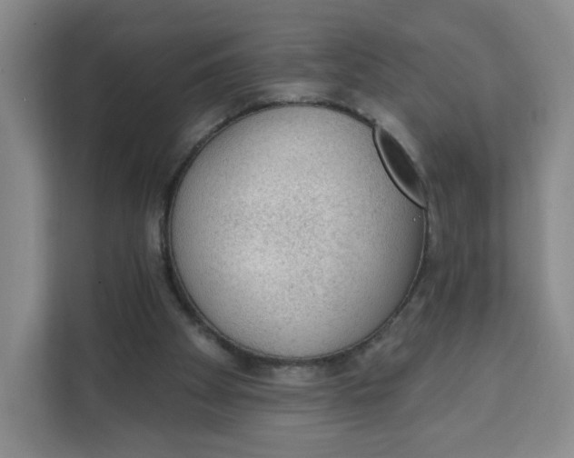 X0000111130105200907141219