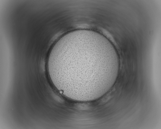 X0000111130106200907141219