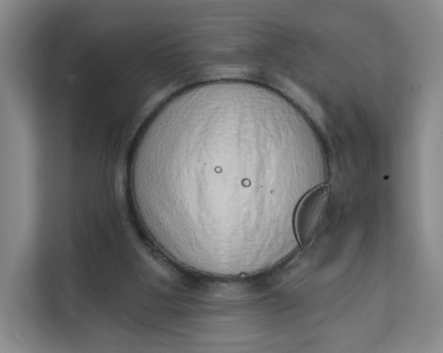 X0000111130107200907141219