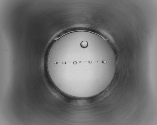 X0000111130108200907141219