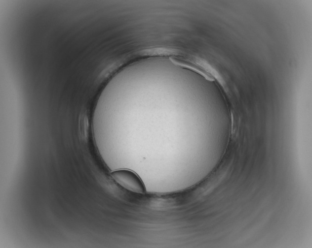 X0000111130109200907141219