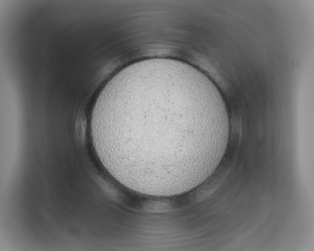 X0000111130110200907141219