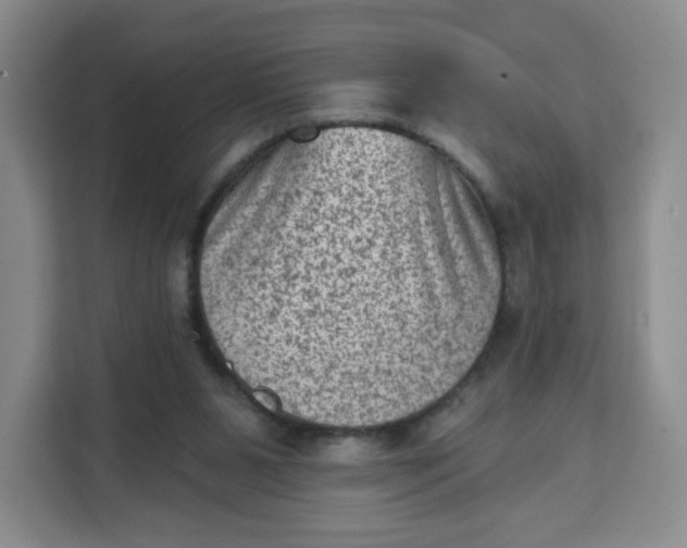 X0000111130111200907141219