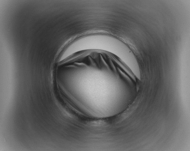 X0000111130112200907141219