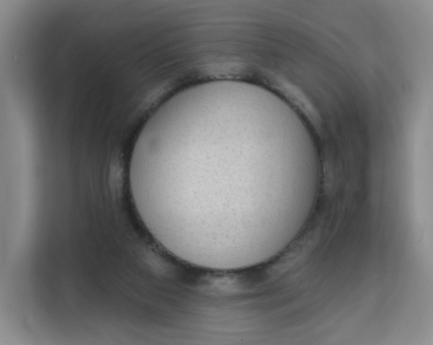X0000111130113200907141219