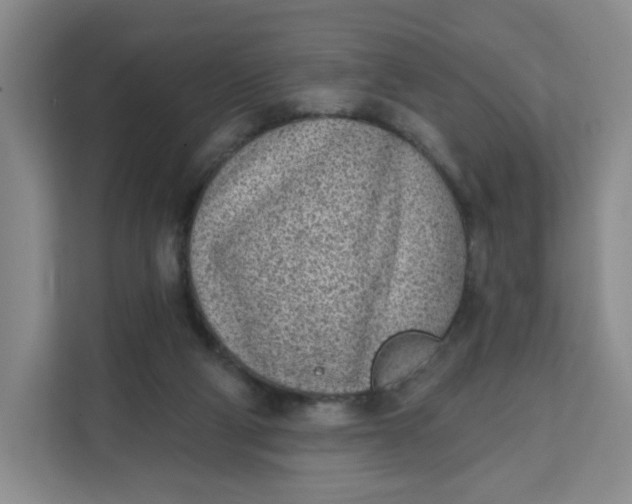 X0000111130114200907141219