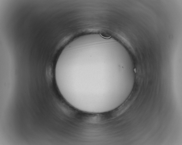 X0000111130116200907141219
