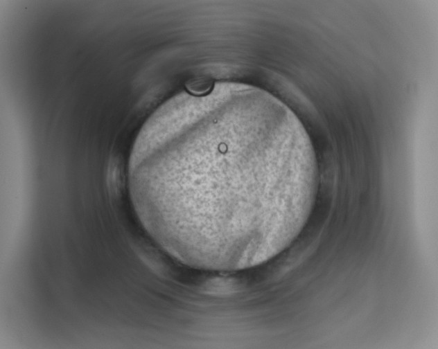 X0000111130119200907141218