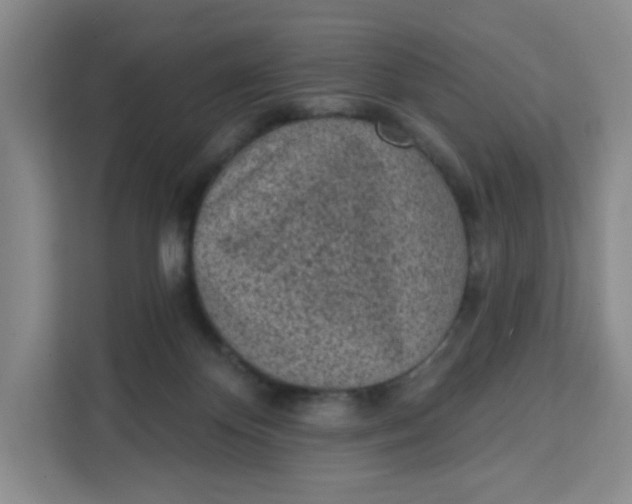 X0000111130124200907141218