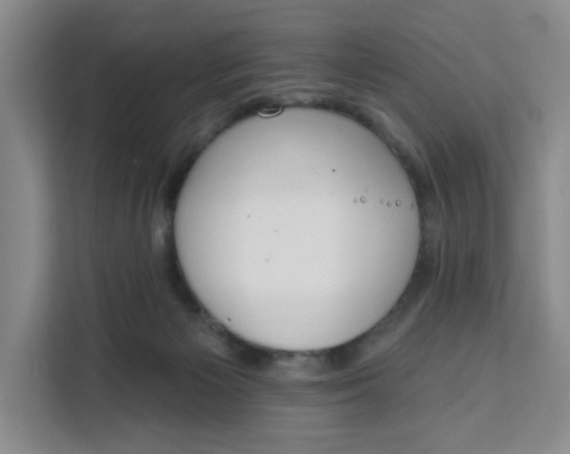 X0000111130125200907141218