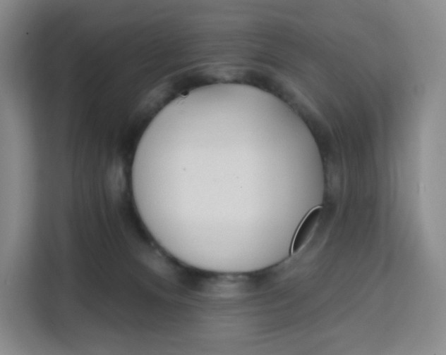 X0000111130128200907141218