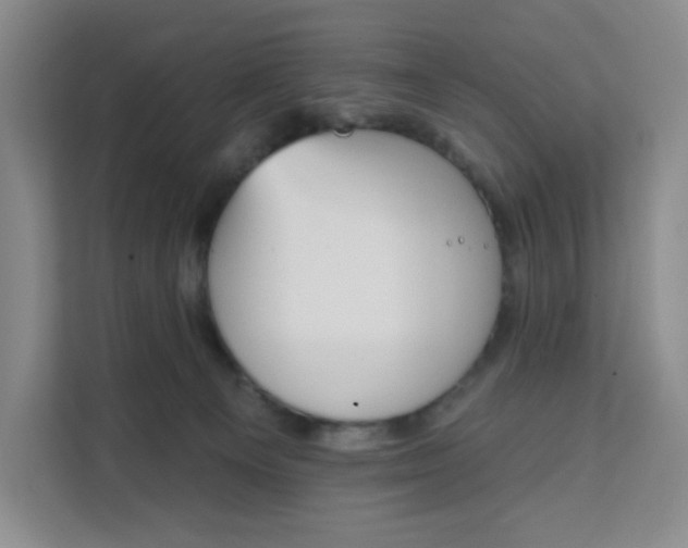 X0000111130129200907141218