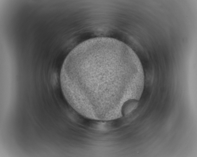 X0000111130130200907141218