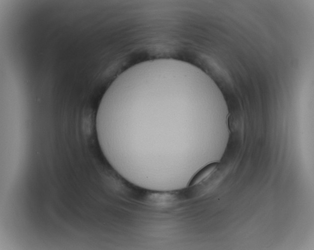 X0000111130133200907141218
