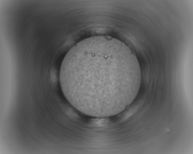 X0000111130135200907141218