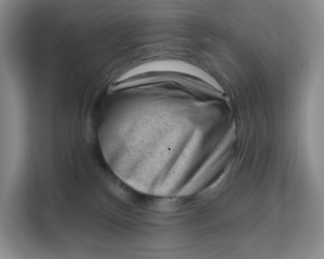 X0000111130136200907141218