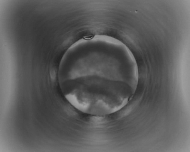 X0000111130139200907141218