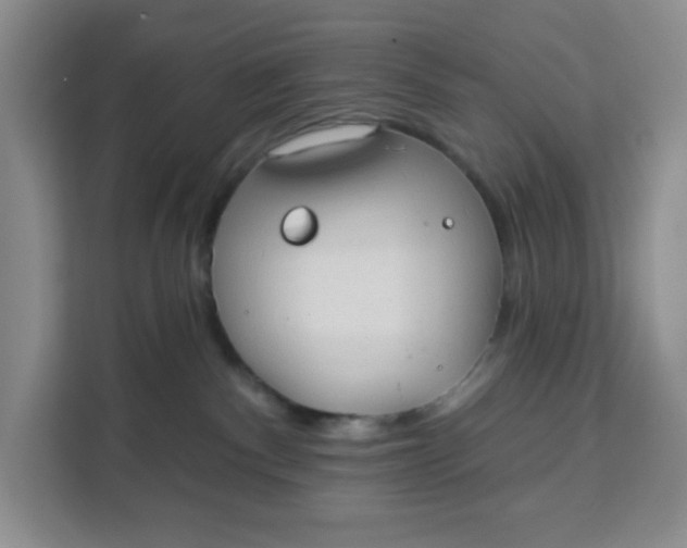 X0000111130140200907141218