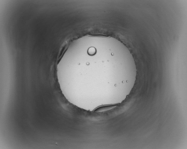 X0000111130144200907141218