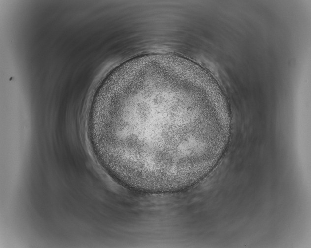X0000111130145200907141218