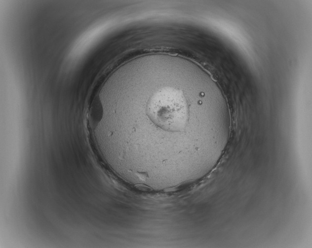 X0000111130146200907141218