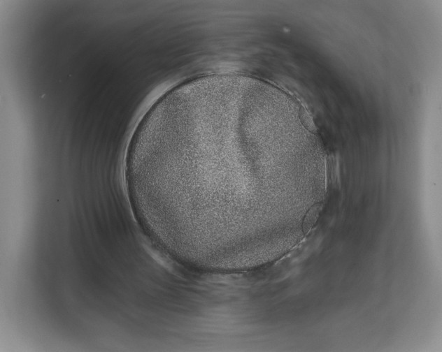 X0000111130147200907141218