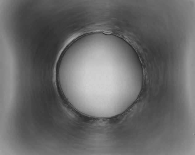 X0000111130148200907141218
