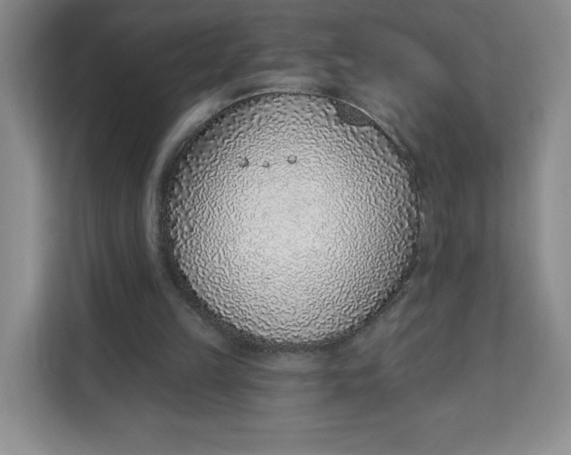X0000111130149200907141218