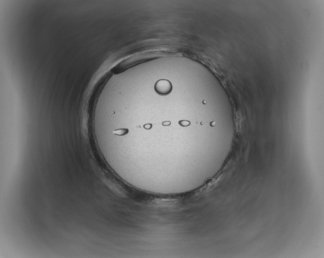 X0000111130150200907141218